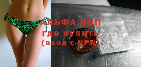 дживик Осташков