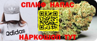 стаф Бузулук