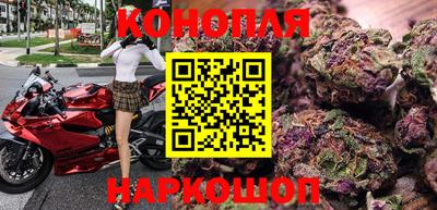 стаф Бузулук