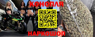 стаф Бузулук