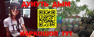 стаф Бузулук