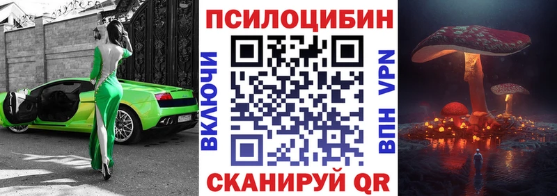 ОМГ ОМГ   Советская Гавань  Псилоцибиновые грибы прущие грибы  где продают  
