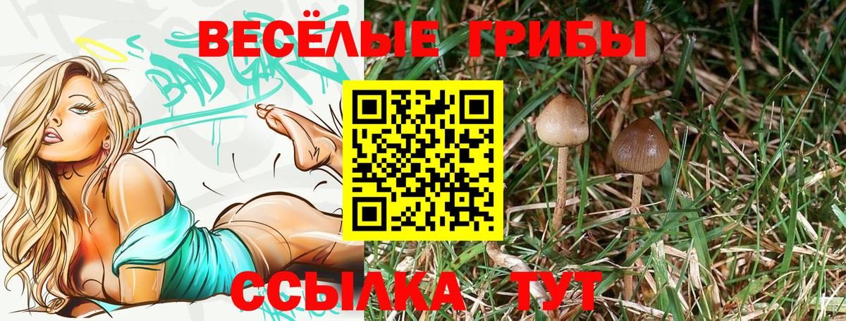 ГАШ  Канабис  ГАШ  Советская Гавань  A-PVP СОЛЬ   Вход с VPN  COCAIN  Меф кристаллы 