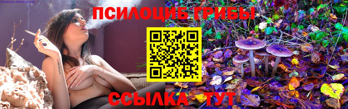 Советская Гавань  Псилоцибиновые грибы мухоморы  Вход с VPN 